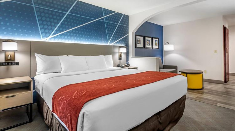 Comfort Suites - Downtown Suite