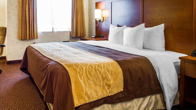 Comfort Inn Watsonville Room