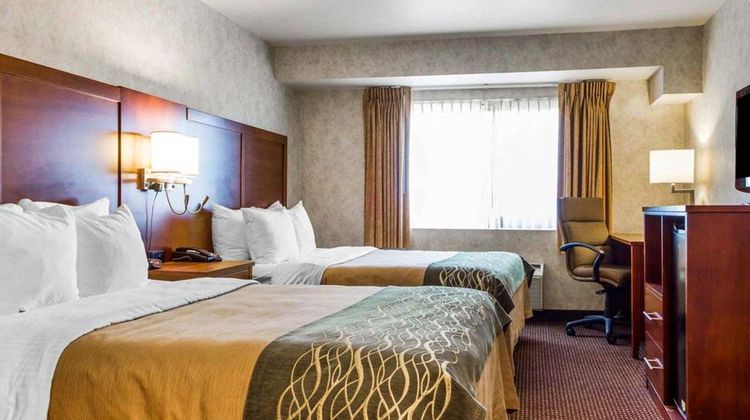 Comfort Inn Watsonville Room