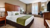 <b>Comfort Inn & Suites Sacramento Room</b>. Images powered by <a href="https://iceportal.shijigroup.com/" title="IcePortal" target="_blank">IcePortal</a>.