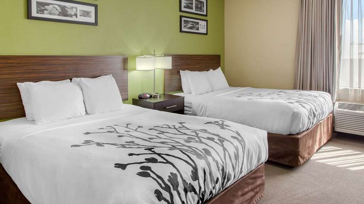 Sleep Inn & Suites Suite