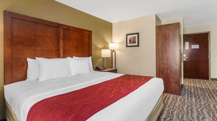 Comfort Inn Monterey Park-Los Angeles Room