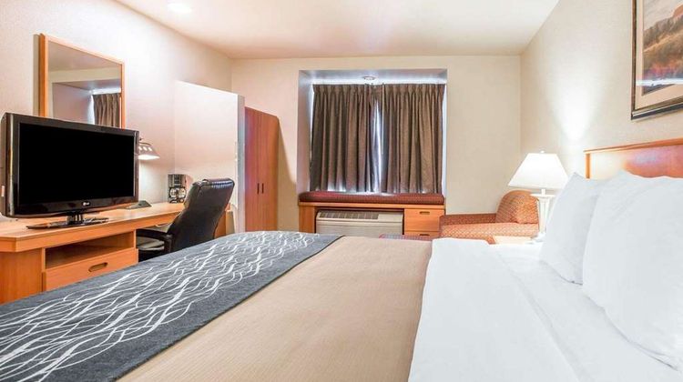 Comfort Inn & Suites Room