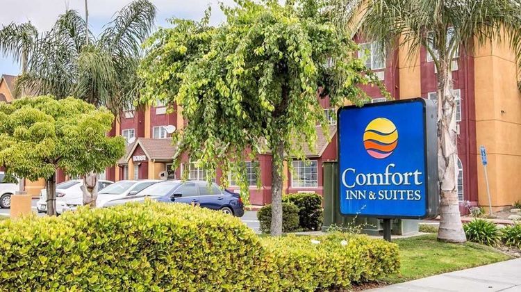 Comfort Inn & Suites Exterior