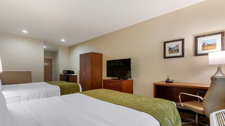 Comfort Suites Beale Air Force Base Area Suite