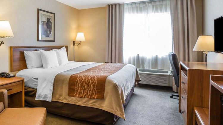 Quality Inn Lone Pine Room