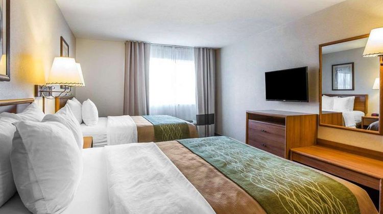 Quality Inn Lone Pine Room