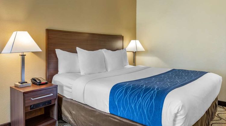 Comfort Inn & Suites Orange County Room