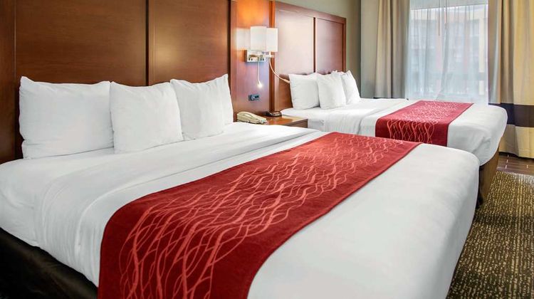 Comfort Inn & Suites SFO Airport Room