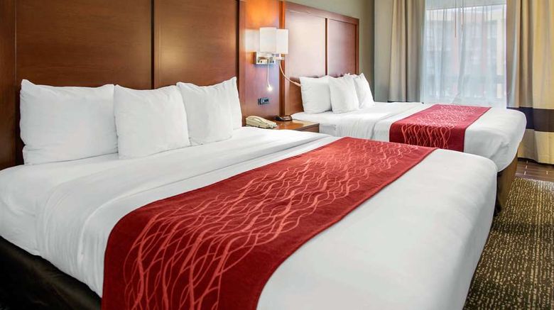 <b>Comfort Inn & Suites SFO Airport Room</b>. Images powered by <a href="https://iceportal.shijigroup.com/" title="IcePortal" target="_blank">IcePortal</a>.