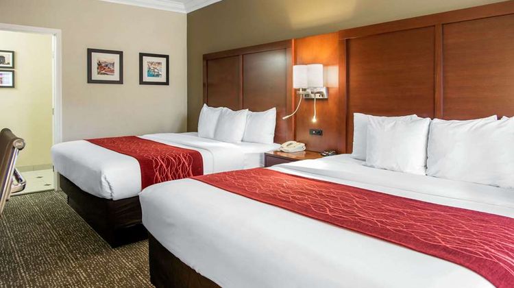 Comfort Inn & Suites SFO Airport Room