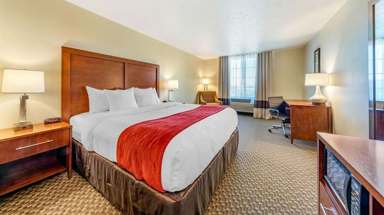 Comfort Inn & Suites Room