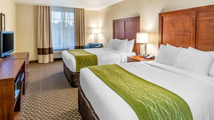 Comfort Inn & Suites Room