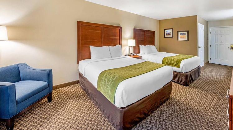 Comfort Inn & Suites Room