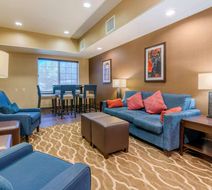 Comfort Inn & Suites Lobby