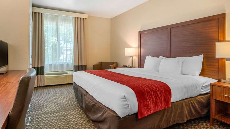 Comfort Inn & Suites Room