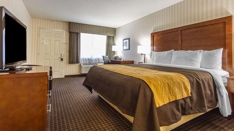 Quality Inn Room