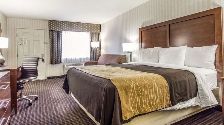 Quality Inn Room
