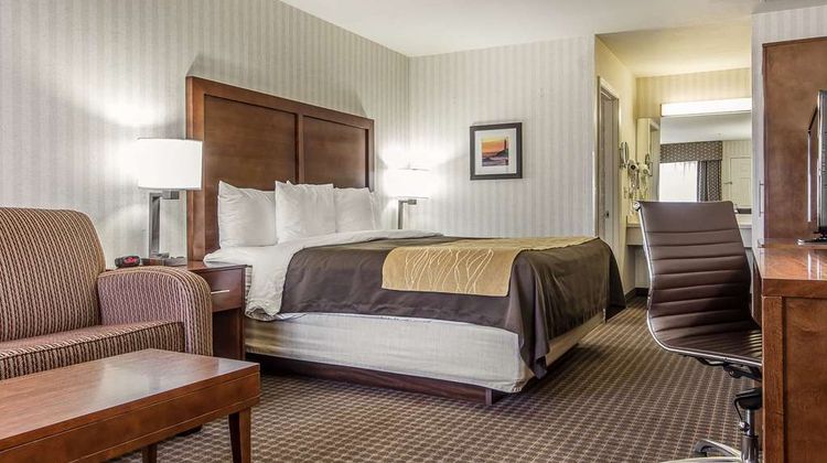 Quality Inn Room