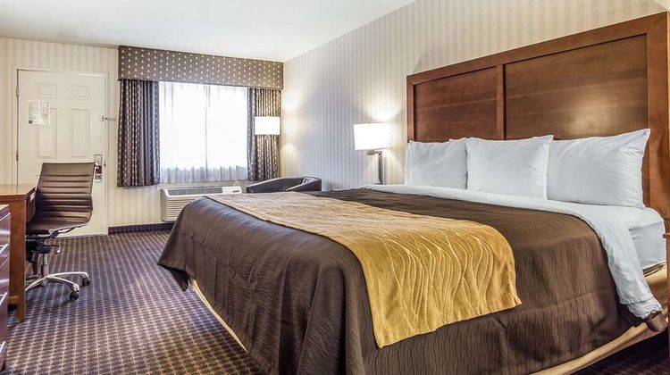 Quality Inn Room