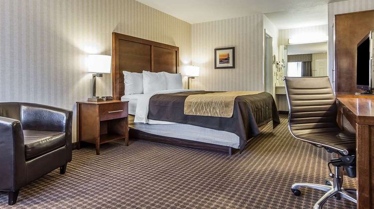 Quality Inn Room