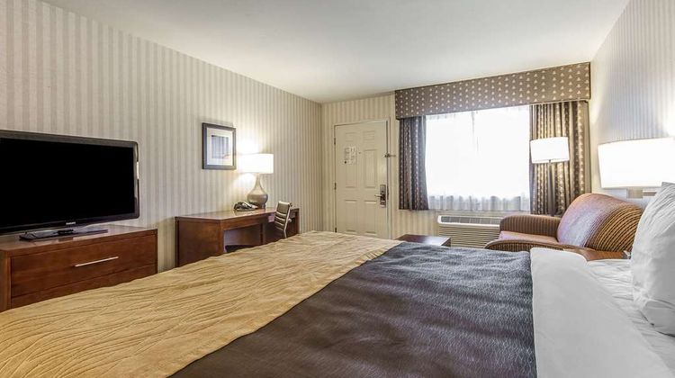 Quality Inn Room