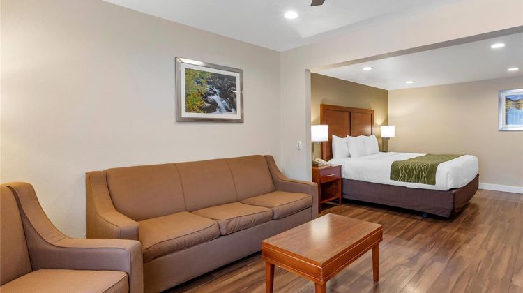 Comfort Inn Suite