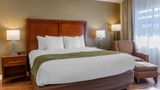 Comfort Inn Room