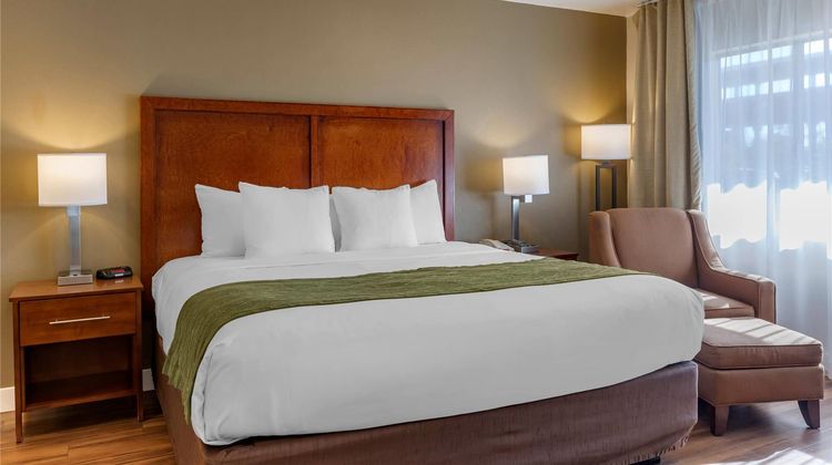 Comfort Inn Room