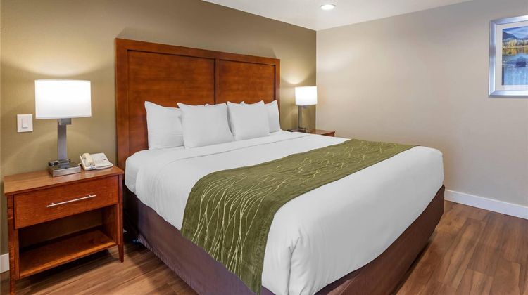 Comfort Inn Suite
