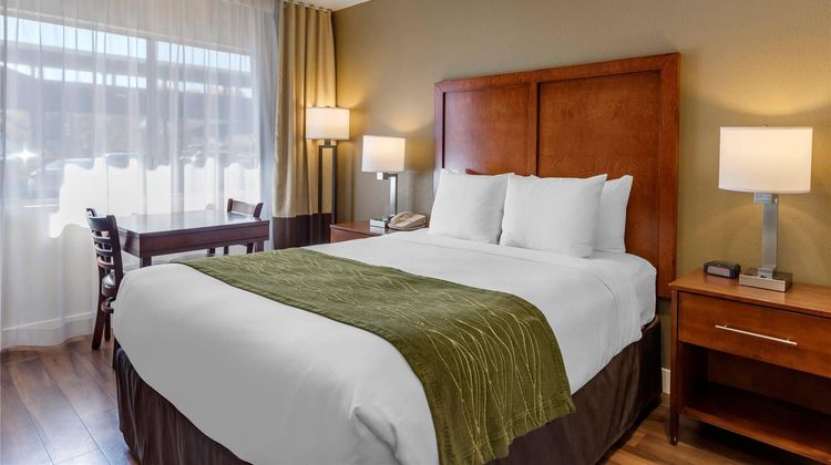 Comfort Inn Room