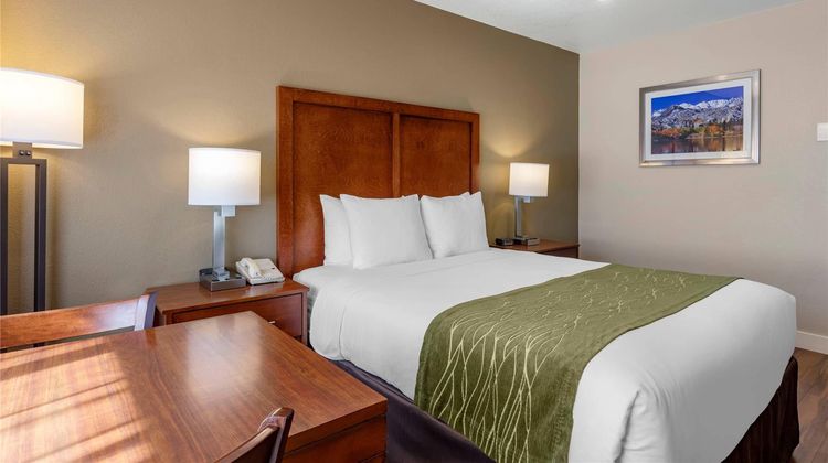 Comfort Inn Room