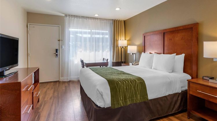 Comfort Inn Room