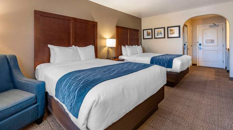 Comfort Inn & Suites Room