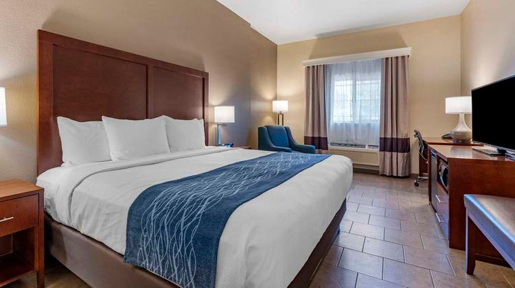 Comfort Inn & Suites Room