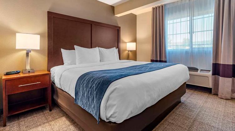 Comfort Inn & Suites Suite