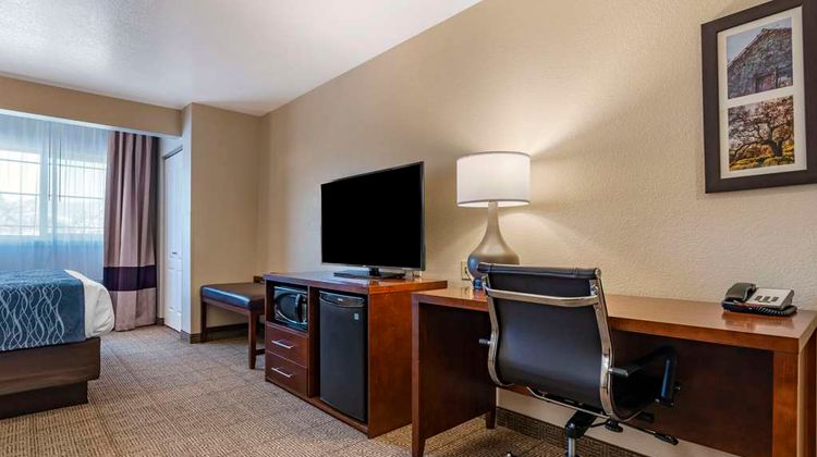 Comfort Inn & Suites Suite