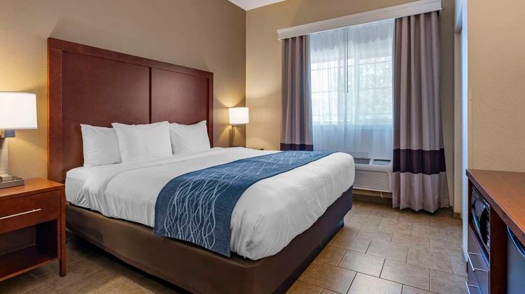 Comfort Inn & Suites Suite