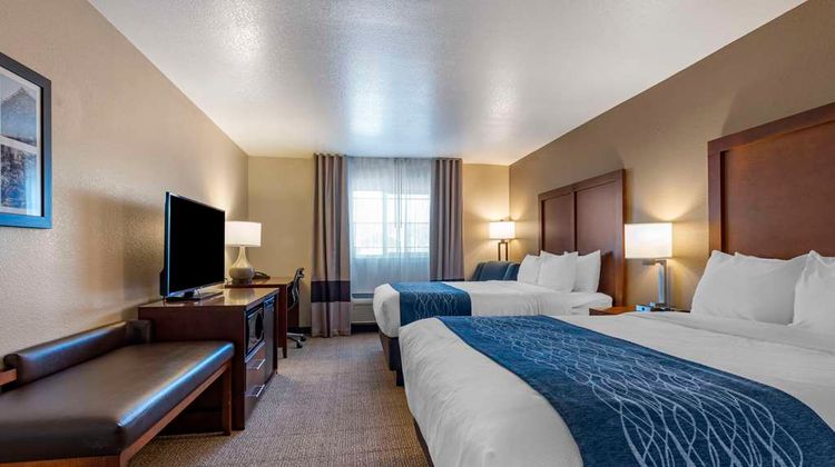 Comfort Inn & Suites Room