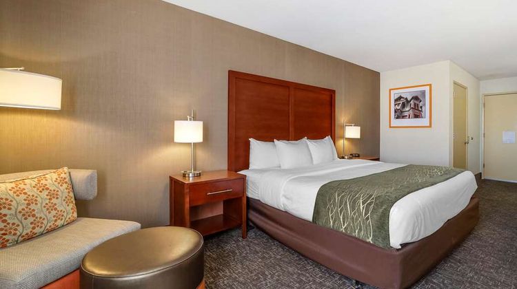 Comfort Inn Room
