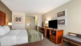 <b>Comfort Inn Room</b>. Images powered by <a href="https://iceportal.shijigroup.com/" title="IcePortal" target="_blank">IcePortal</a>.