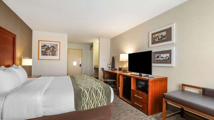 Comfort Inn Room