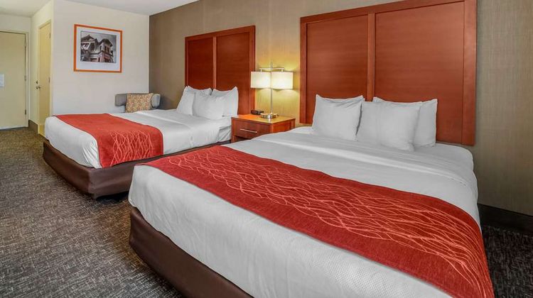 Comfort Inn Room