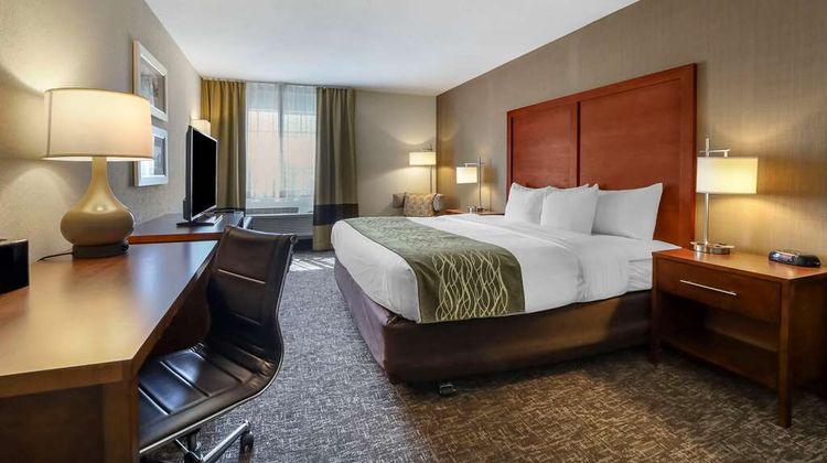 Comfort Inn Room
