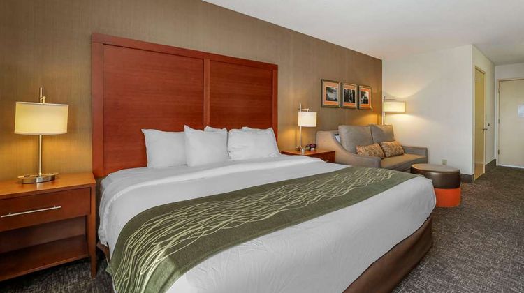 Comfort Inn Room