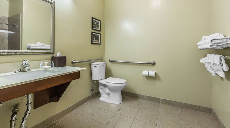 Comfort Inn Near Fairplex Room