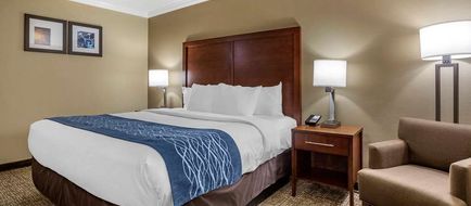 Comfort Inn & Suites Sunnyvale Silicon Room