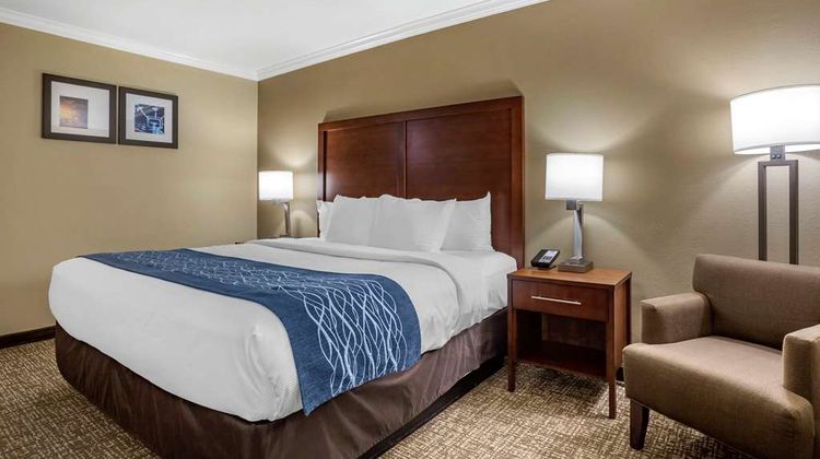 Comfort Inn & Suites Sunnyvale Silicon Room