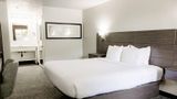 Quality Inn Suites Hotel Room