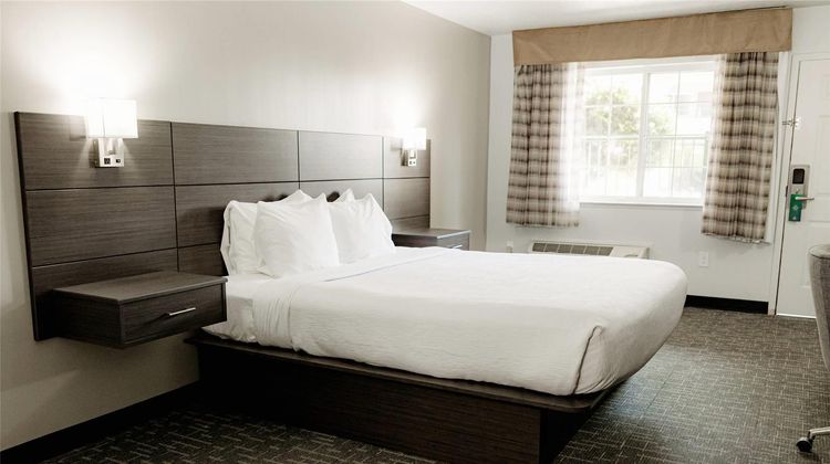 Quality Inn Suites Hotel Room